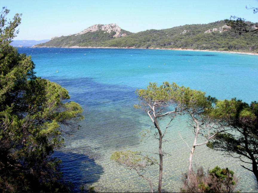 Superbe T2 Proche Des Plages Et Des Commerces Hyères Eksteriør billede